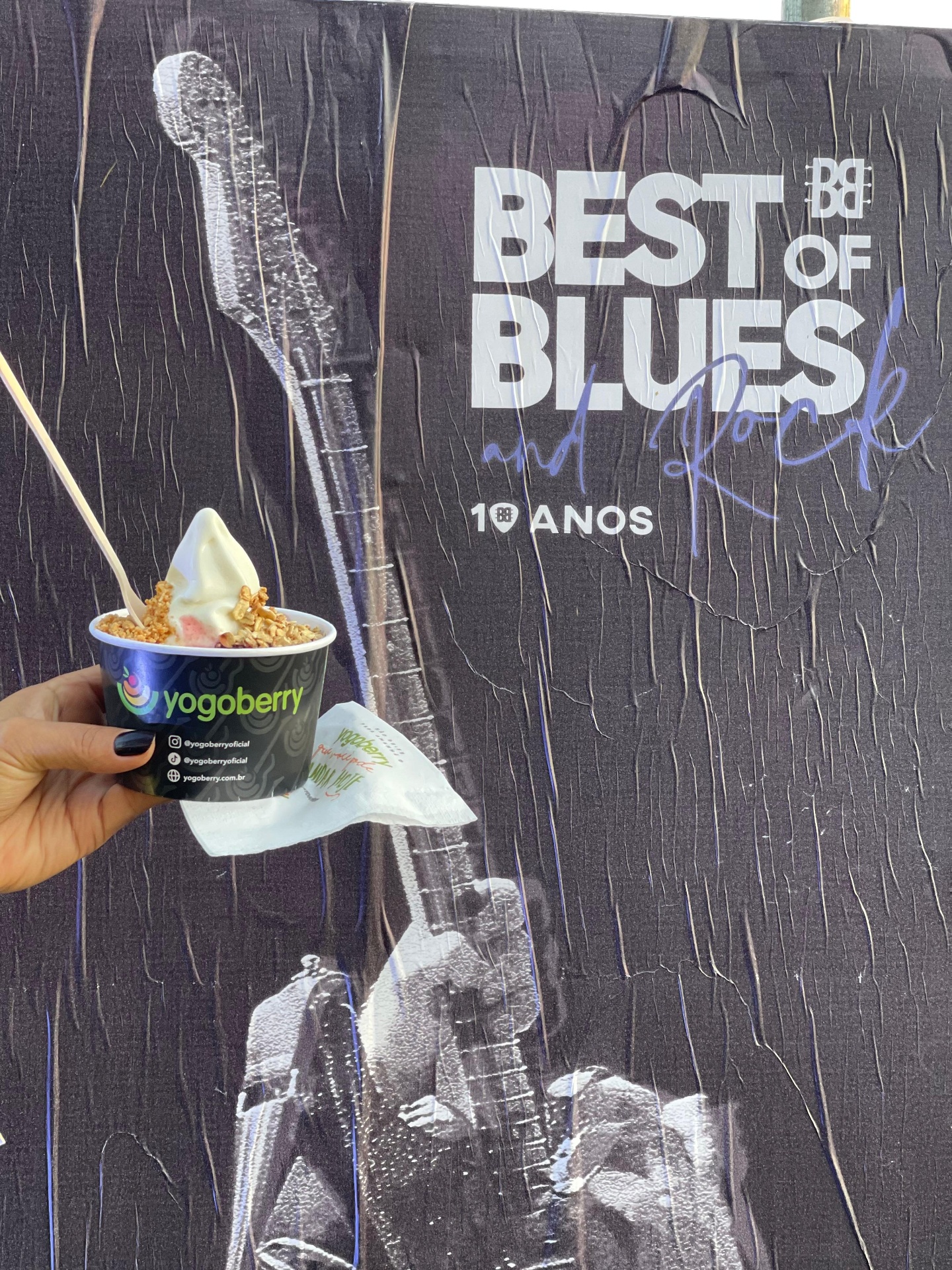 YogoBerry — Sampling & Festivais